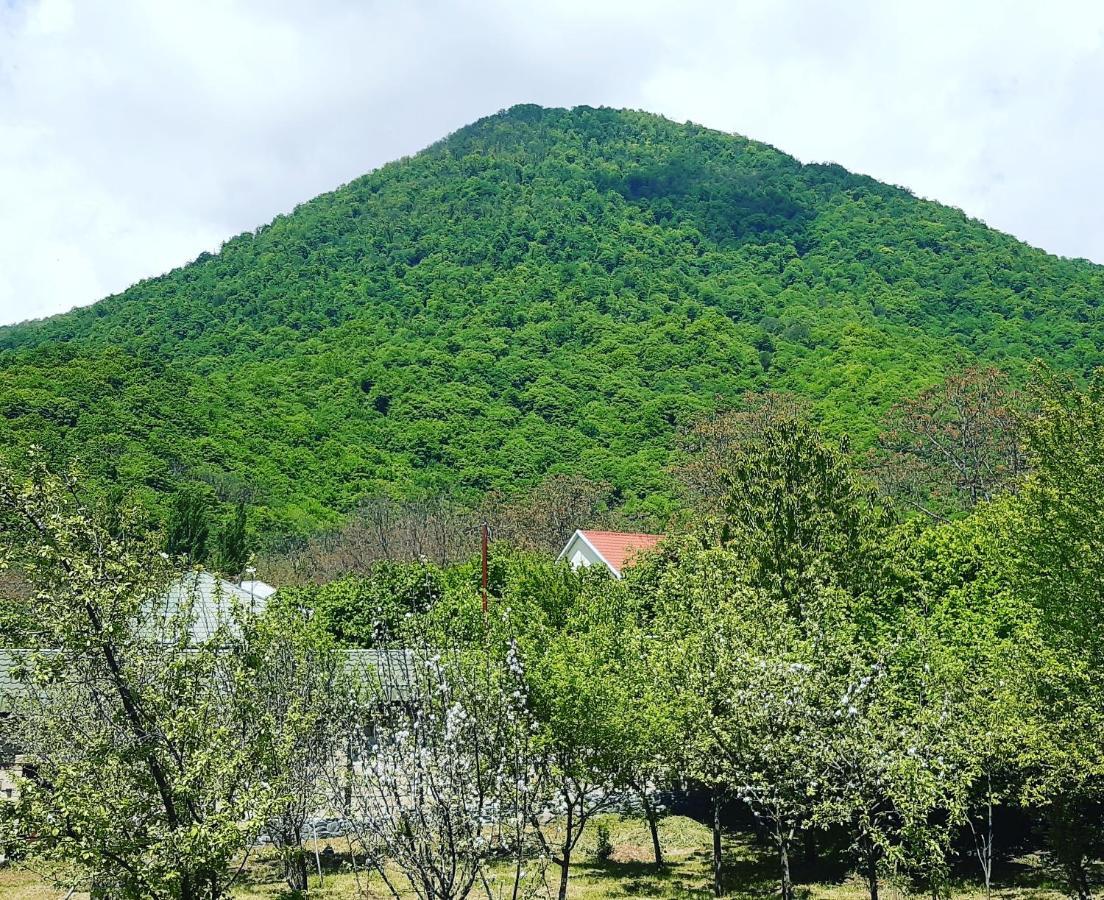 Gabala Sweet Home 外观 照片