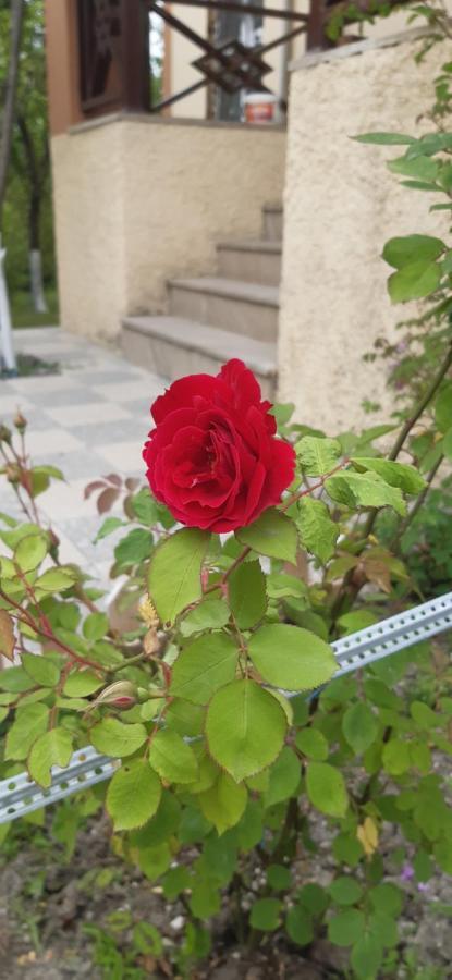 Gabala Sweet Home 外观 照片